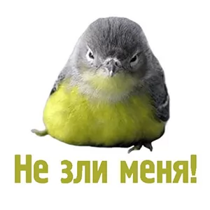 Комичные животные не зли меня