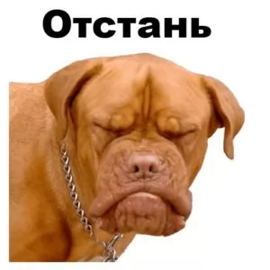 Стикер псы отстань
