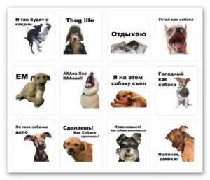 Набор стикеров псы часть третья